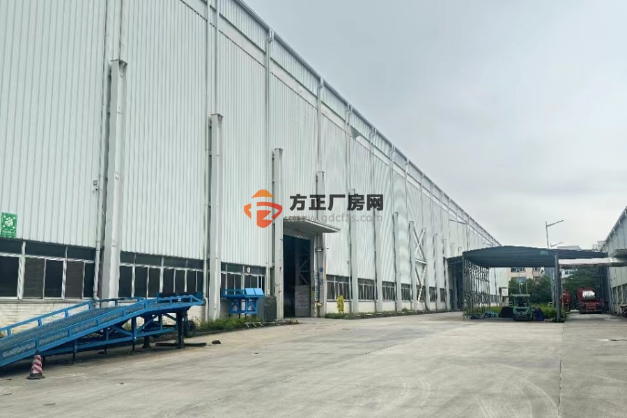 黄埔钢结构厂房出租  高19米