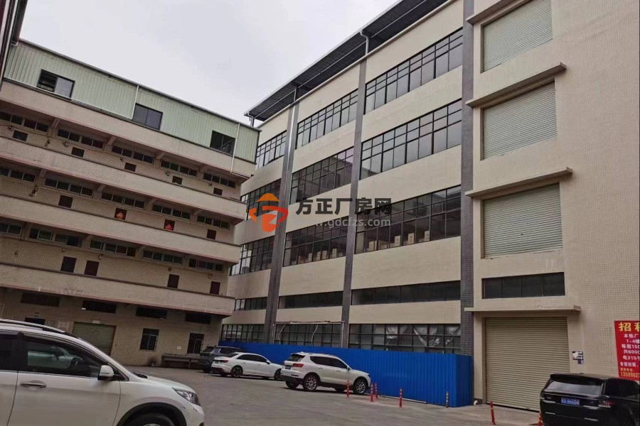 石排镇原房东标准厂房二楼出租1300平方