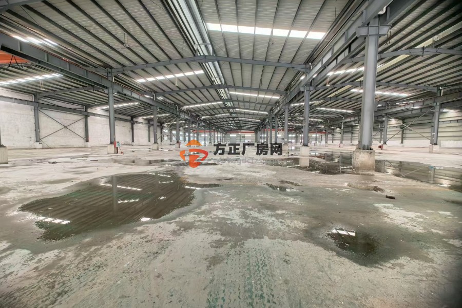 用电大户福音-企石原房东独栋钢构厂房3000平方滴水8米