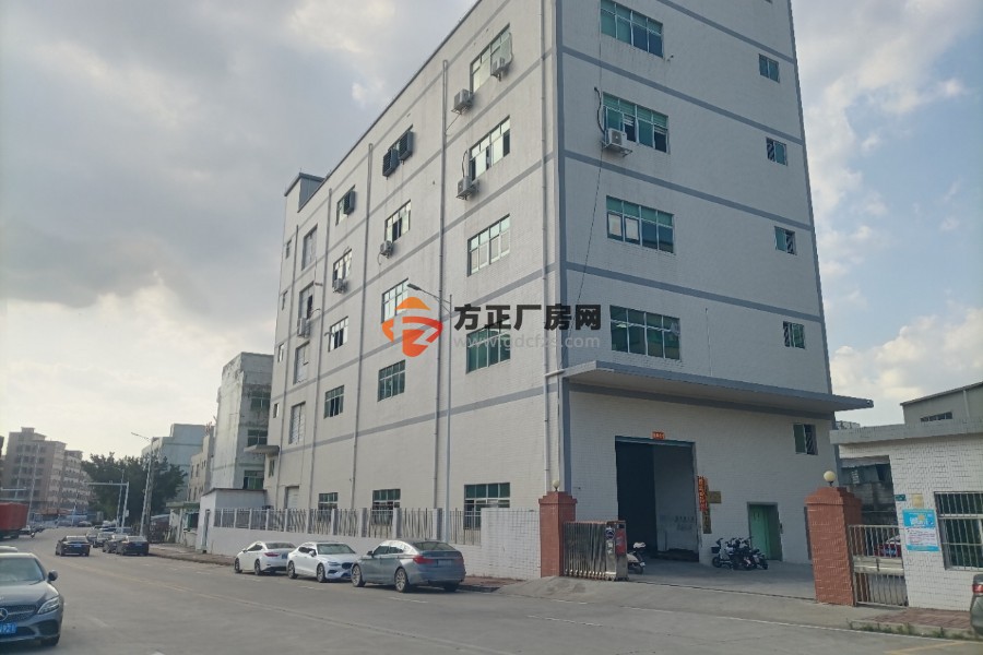 清溪土桥新出楼上一整层现成办公室装修出租