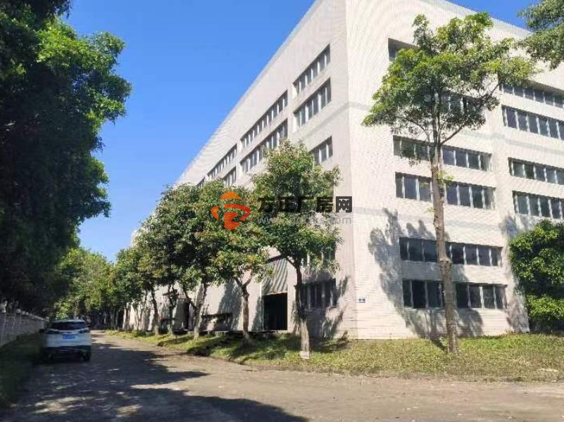 黄埔云浦工业区标准厂房楼上2200平方出租