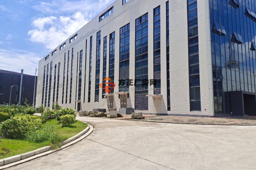 黄埔云浦工业区标准厂房楼上出租  可分租