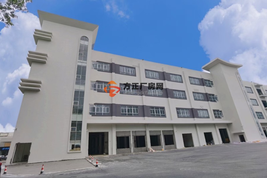 黄埔标准厂房独院厂房出租  厂房证件齐全  可分租