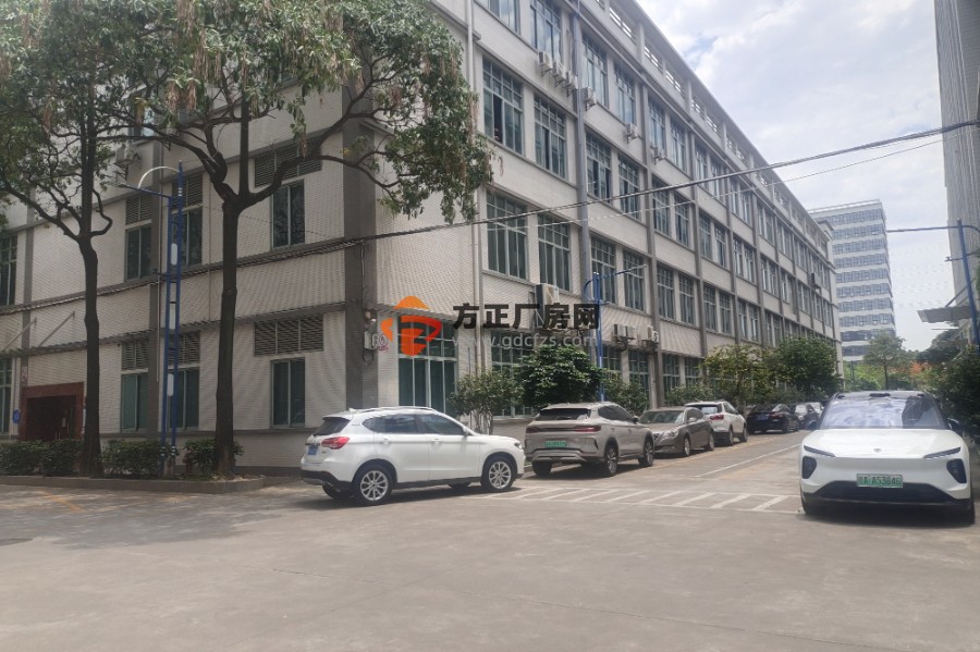 黄埔云浦工业区标准厂房3楼2300平方出租