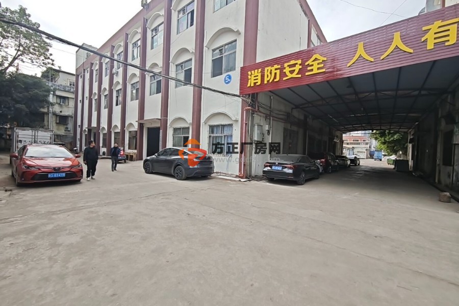 塘厦138工业区标准厂房一楼面积650平方