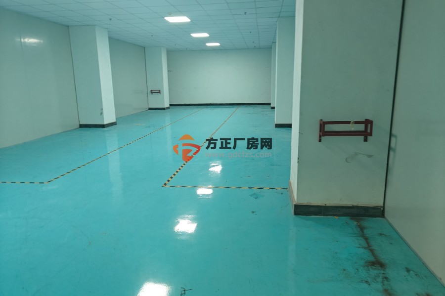 松岗国有双证独门独院厂房出售占地4546.39平米建筑12353.72平米