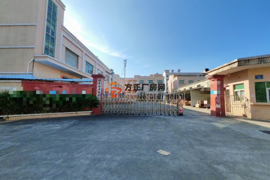 清溪原房东独门独院总面积5230平方价格便宜