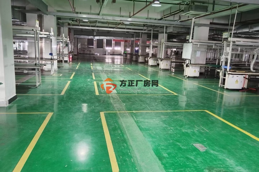 东莞市塘厦镇科苑城二楼整层3000平米自用厂房实际面积出租，