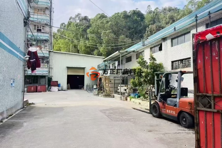 常平原房东单一层独院4480方 单一层2900平方