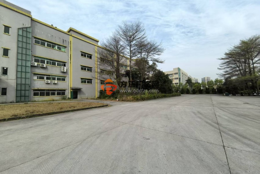 塘厦林村3楼13000平方租13 4台3吨货梯卸货平台价格便宜可以分租