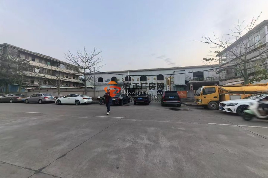 浦心湖塘厦独院总面积3400㎡招租 包翻新实量出租