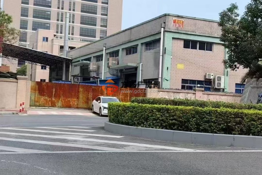 东坑新出原房东一栋2600㎡单一层厂房