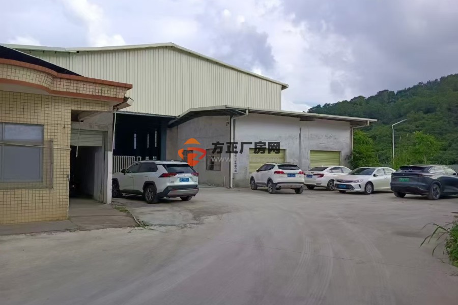 清溪罗马靠樟木头 原房东单一层独院3650平方