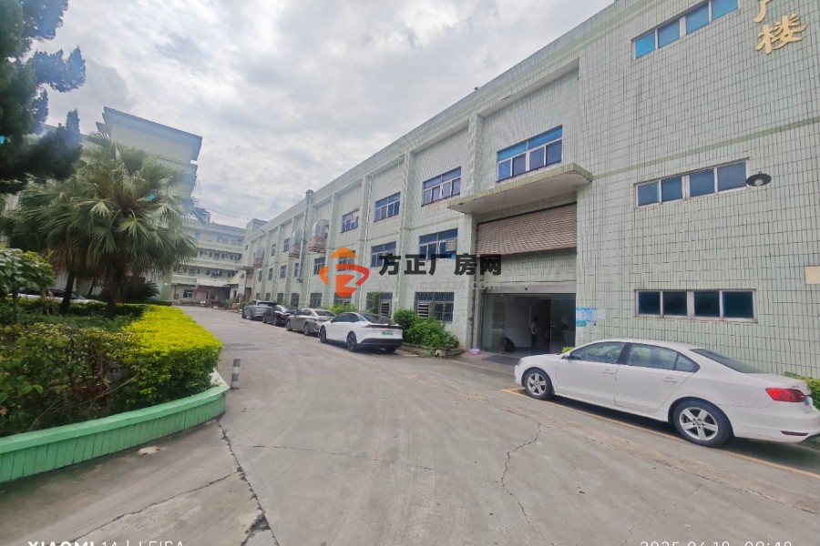 塘厦莲湖原房东独院厂房独栋 实际面积厂房招租 总面积5200㎡