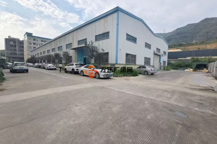 清溪镇原房东单一层钢构厂房2800平方9.8米高