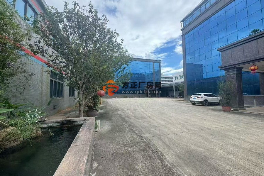 塘厦林村独院厂房15000平方原房东价格便宜