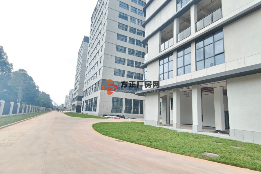 塘厦原房东厂房全新独院12万平厂房招租园区东深快线旁可直接进