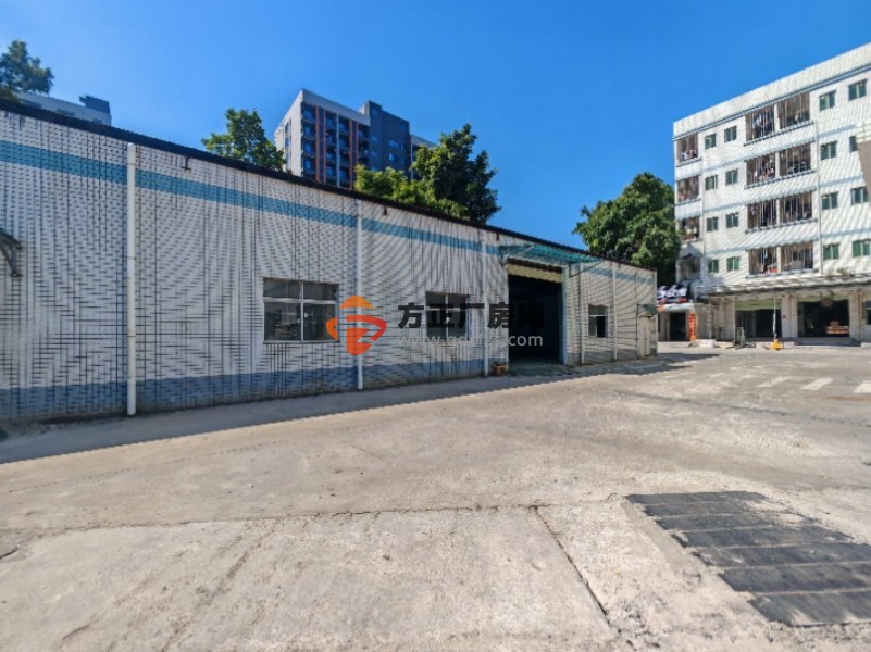 塘厦沙湖新出单一层厂房700平方高度5米石鼓五金行业超大空地交通方便