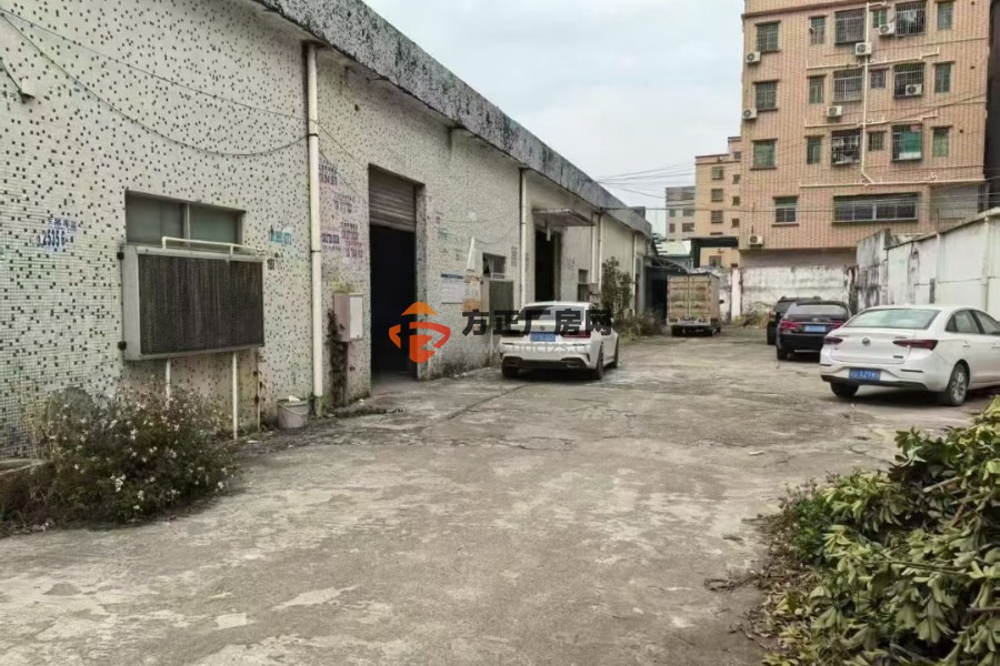 塘厦龙背岭独门独院 新出独院实际面积2000平方&nbsp;&nbsp;（可整租，可分租）带现成办公室滴水7米中间无柱子