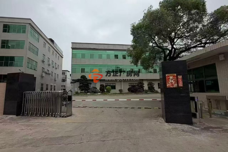 清溪镇原房东独门独院厂房招租52500㎡