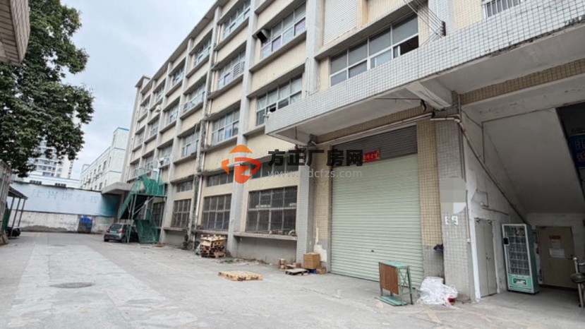 公明上村北环路旁独院厂房3600平米出租