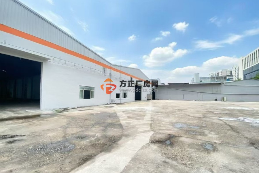 大岭山镇单一层独院厂房