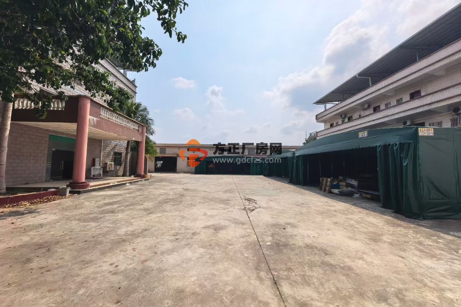 惠阳区镇隆楼下红本独门独院钢构厂房 单一层厂房