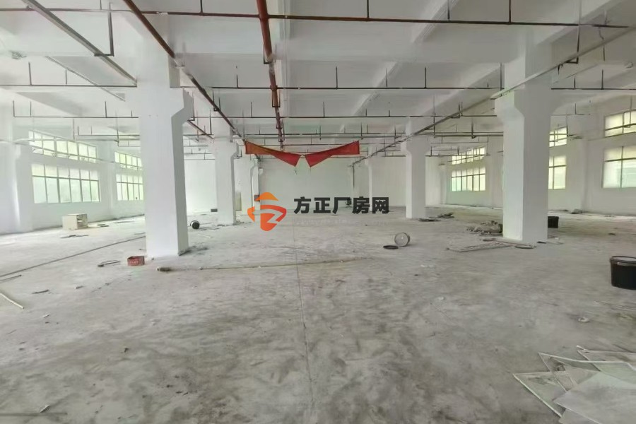 凤岗浸校塘新出原房东标准厂房1楼1300平方带牛角