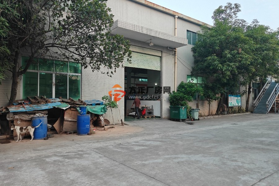 谢岗镇原房东单一层6000平独院厂房4000平滴水8.5米高