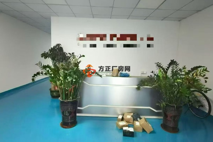 凤凰岗大道原房东新出楼上900平方带现成办公室