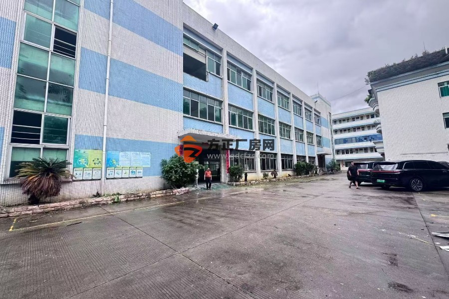 塘厦沙湖靠高速出口独门独院原房东 7500㎡